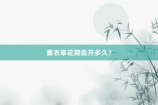 薰衣草花期能开多久？