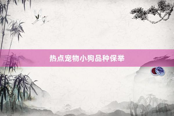 热点宠物小狗品种保举