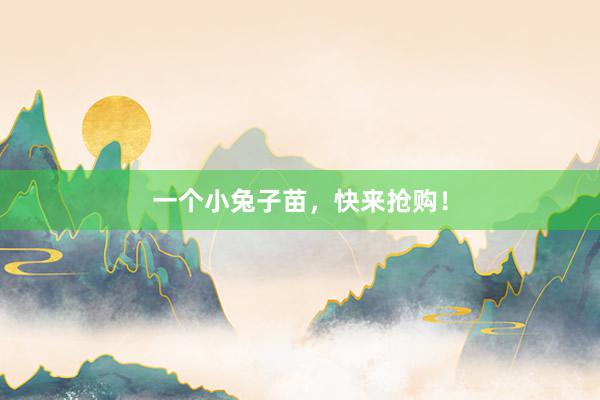 一个小兔子苗，快来抢购！