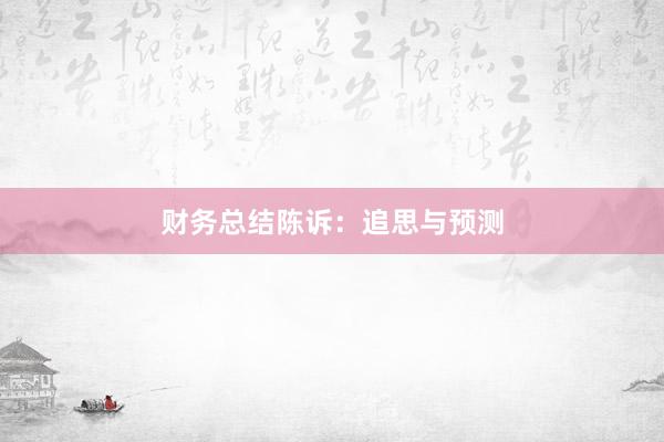 财务总结陈诉：追思与预测