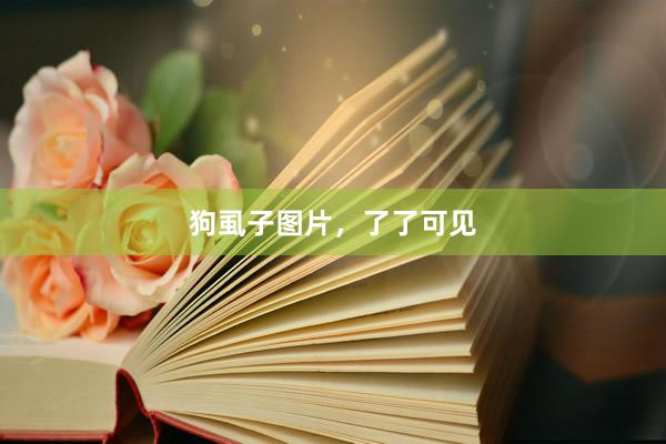 狗虱子图片，了了可见